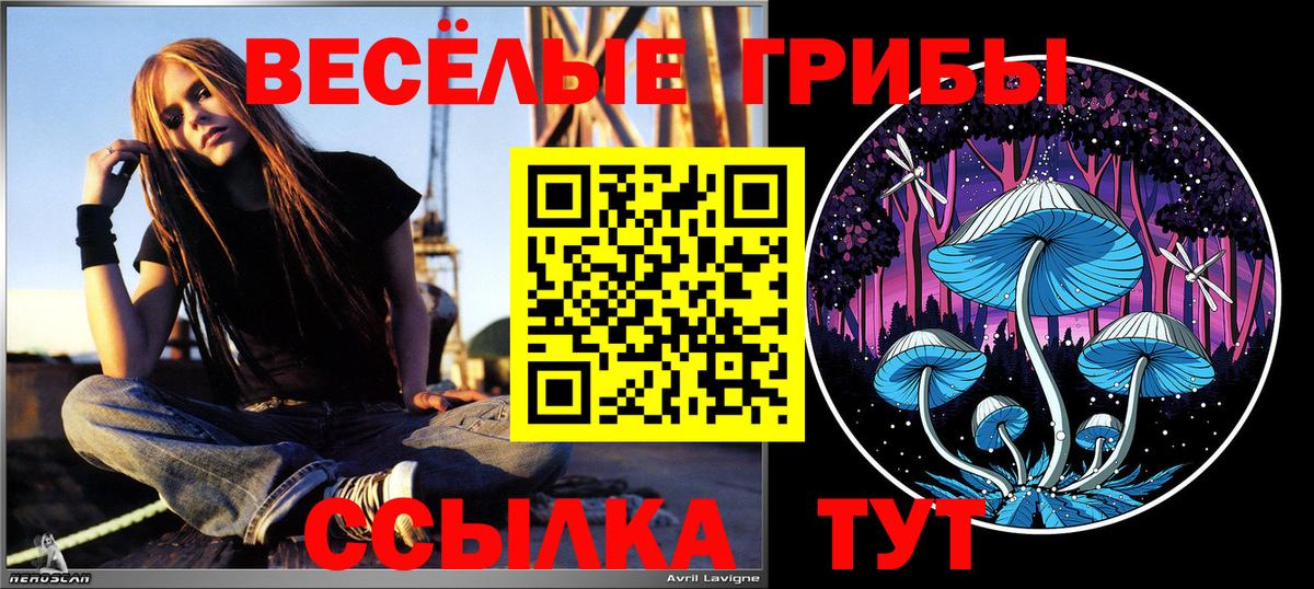 Псилоцибиновые грибы мицелий  Вход с VPN  Мегион 
